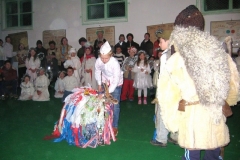 p13_jpg